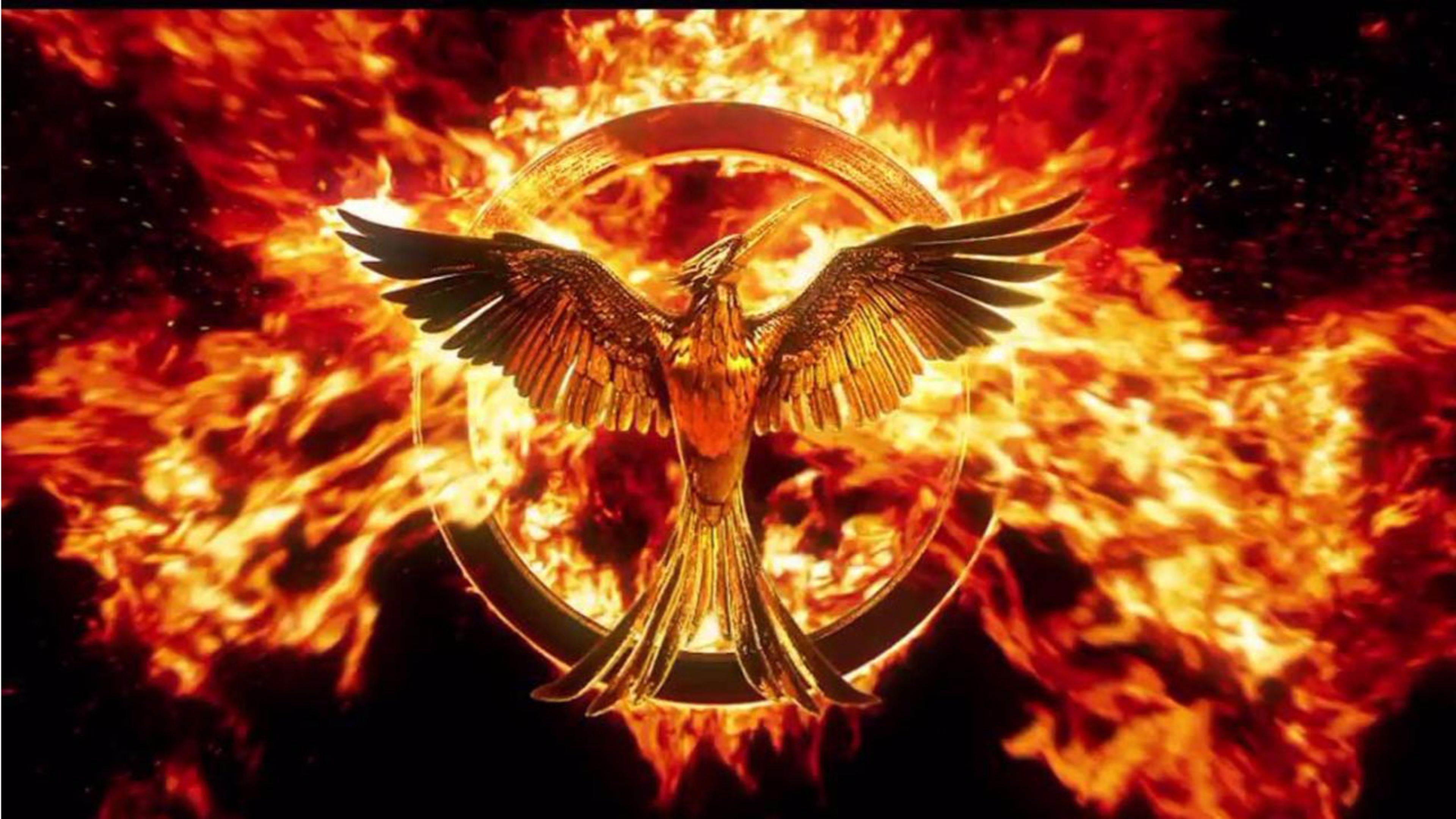  The Hunger Games Mockingjay Part 4K Wallpaper Free 4K Wallpaper