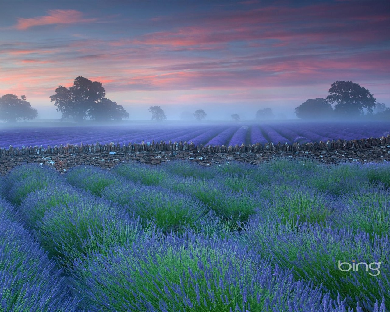 Windows Bing Themes Grasslands Plains Widescreen HD Wallpaper