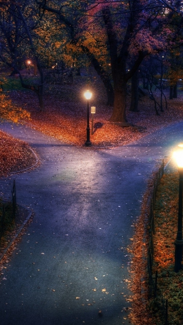 Park Autumn City Lights Pavement Trails Leaves iPhone Wallpapers