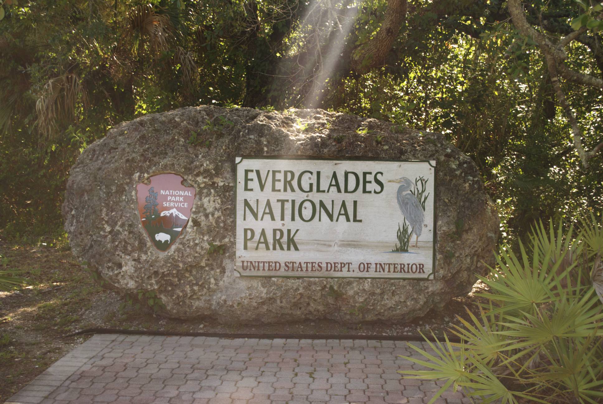Everglades National Park HD Wallpaper Background