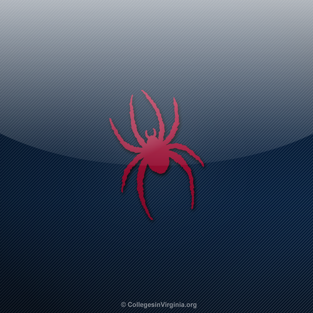 Richmond Spiders iPad Wallpaper