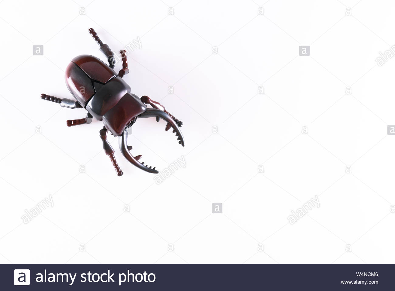 False Plastic Beetle In White Background Zenith Stock Photo