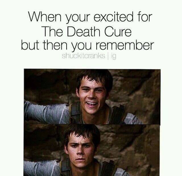 Best Image About The Maze Runner