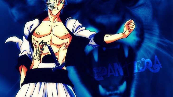Grimmjow Jeagerjaques Wallpaper HD Animewp