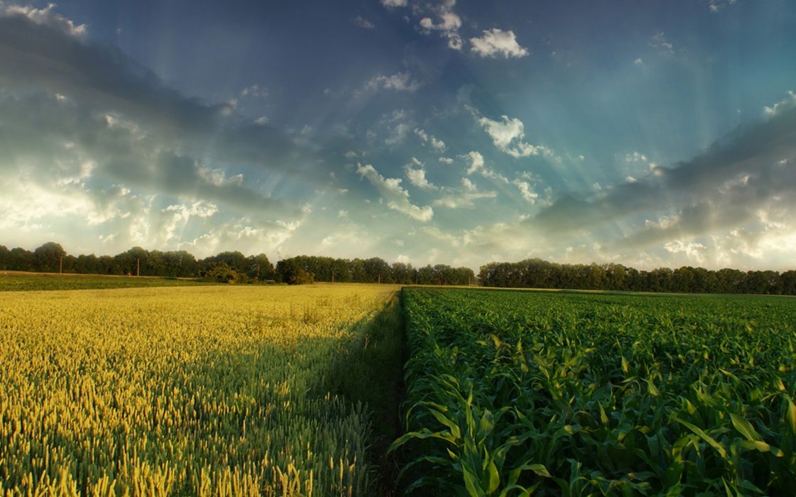 Landscapes Nature Fields HDr Photography Crops Wallpaper