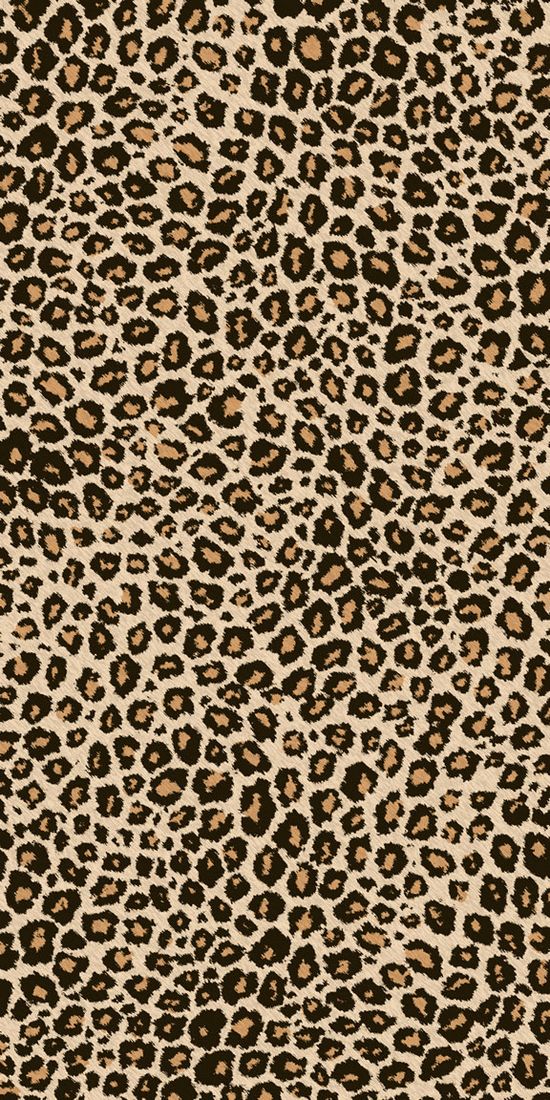 120 Best Cheetah print wallpaper ideas cheetah print wallpaper