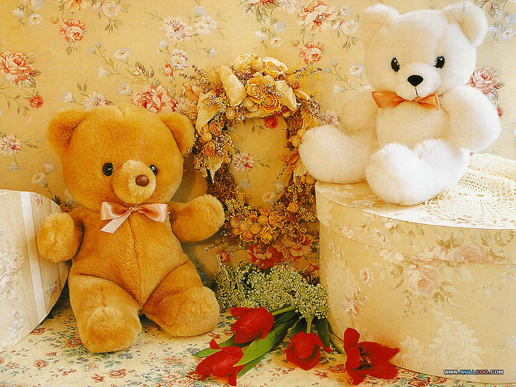 Free download brown white teddy bear wallpaper With Resolutions ...