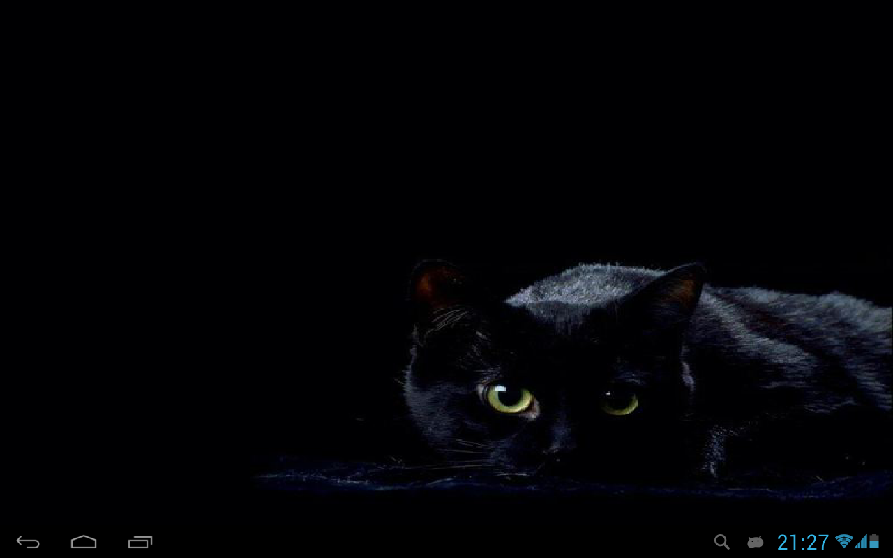 Black Cat Live Wallpaper 2