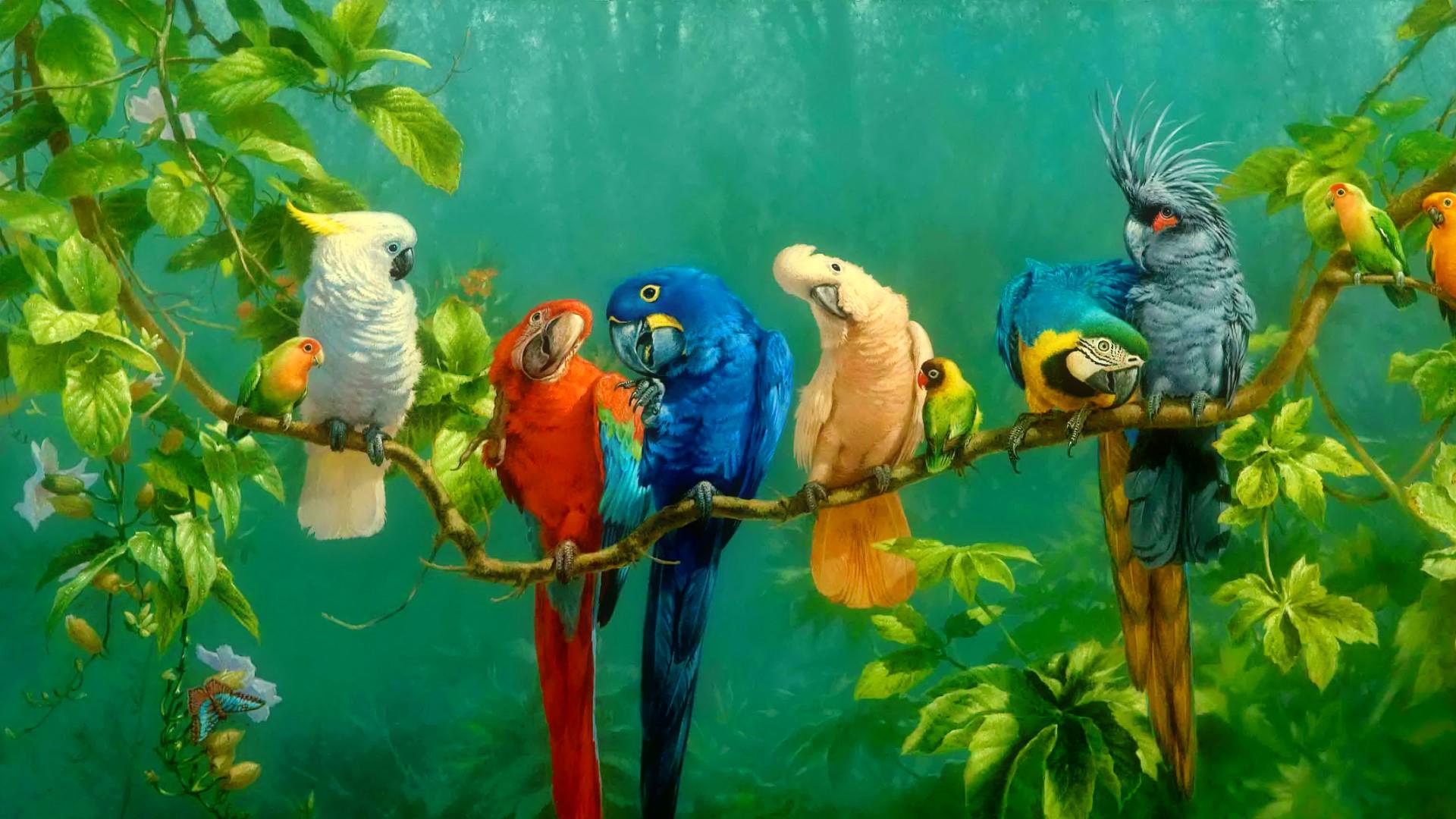 Parrots Wallpaper On