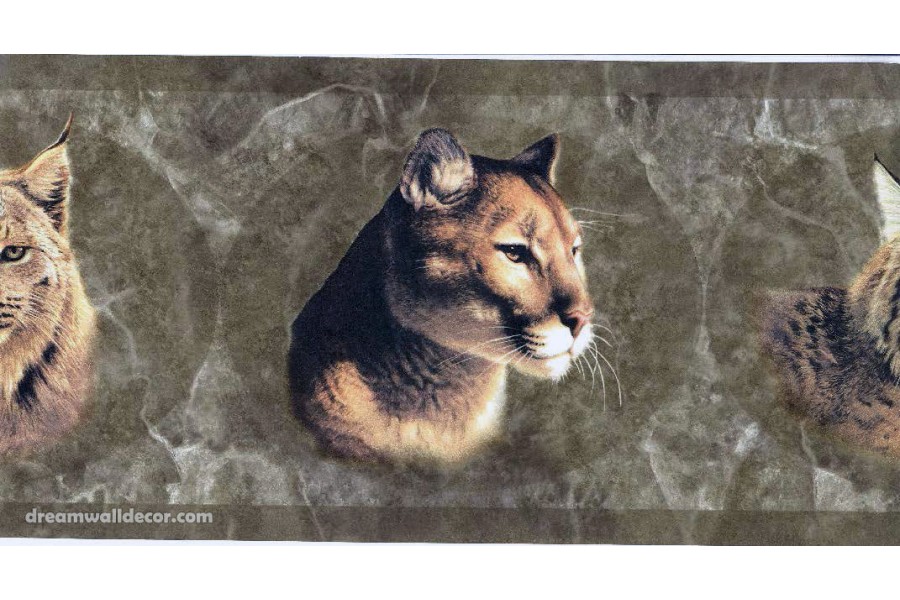 47 Country Cats Wallpaper Border On Wallpapersafari 47 Country Cats Wallpaper Border On