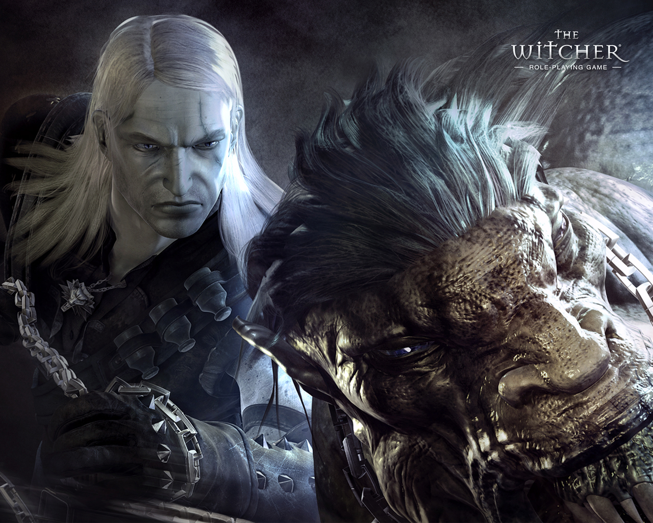 Witcher wallpapers   The Witcher Wallpaper 468630 1280x1024