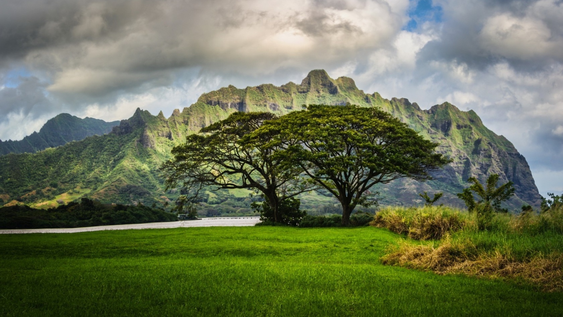 Mountains Trees Oahu Hawaii Landscape Clouds Wallpaper Background