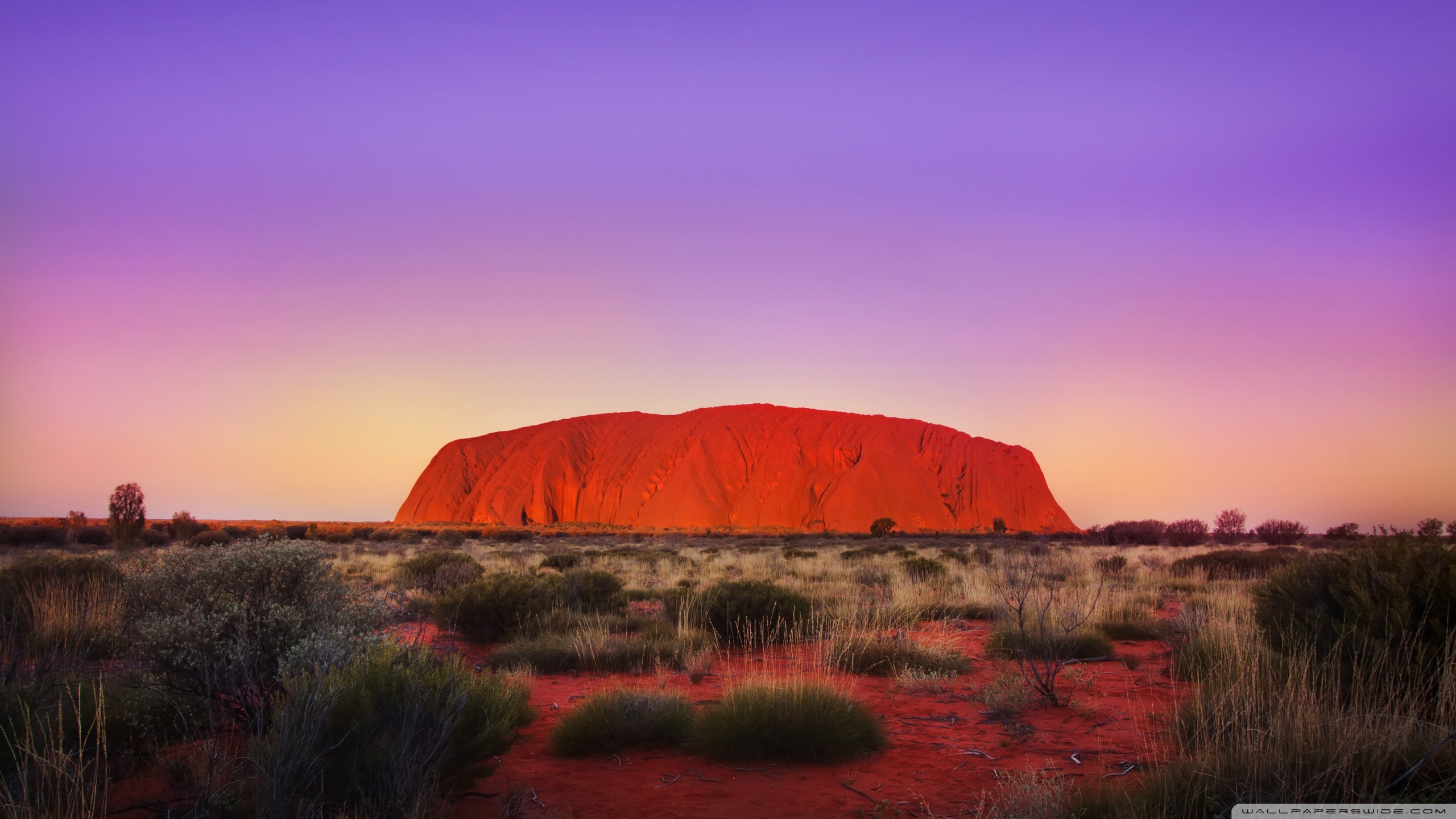 Uluru Rock Ultra HD Desktop Background Wallpaper For Multi