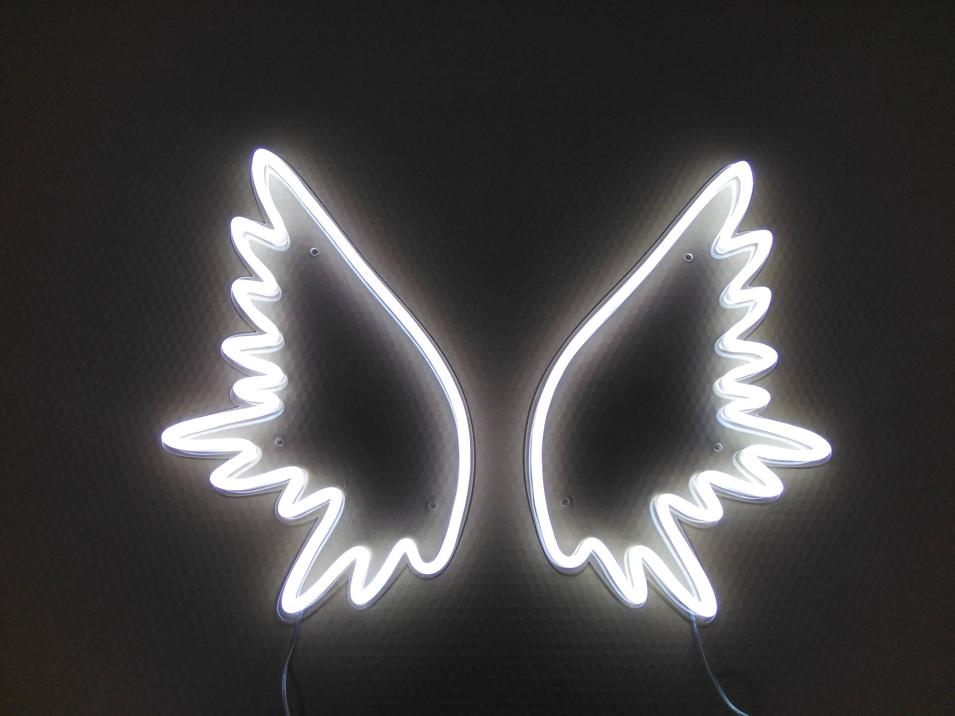 Top White Neon Aesthetic Wallpaper Full HD 4k To Use