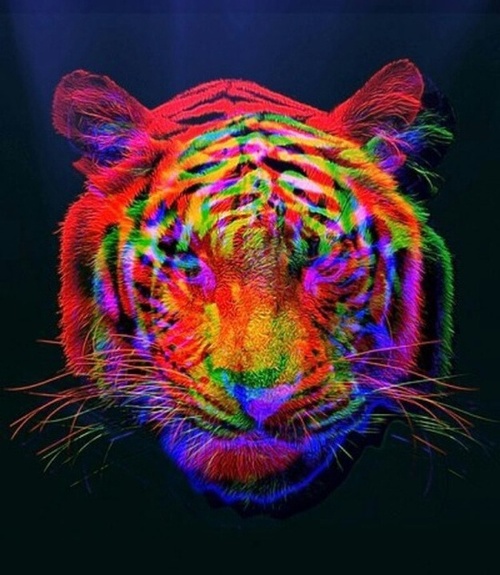 trippy tiger