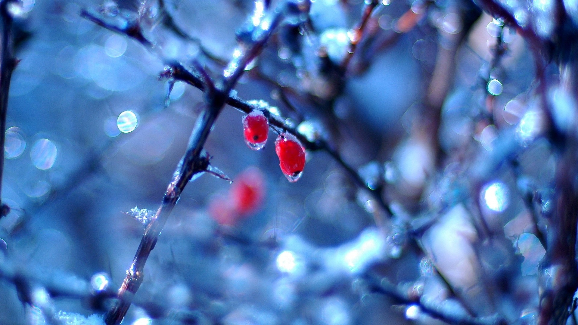 Cool Winter Backgrounds - WallpaperSafari