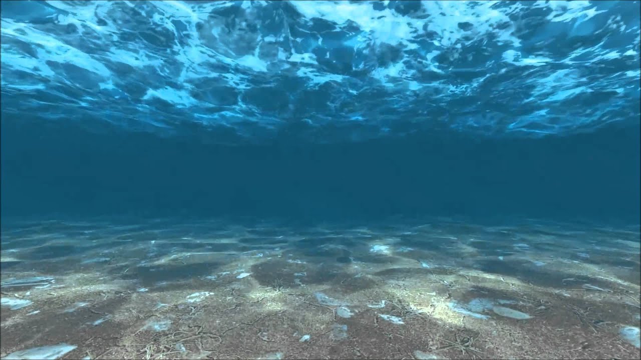 Sea Background Video HD