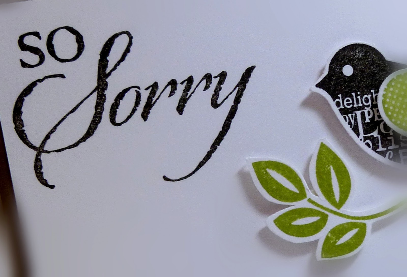 So Sorry HD Wallpaper Daily Pics Update