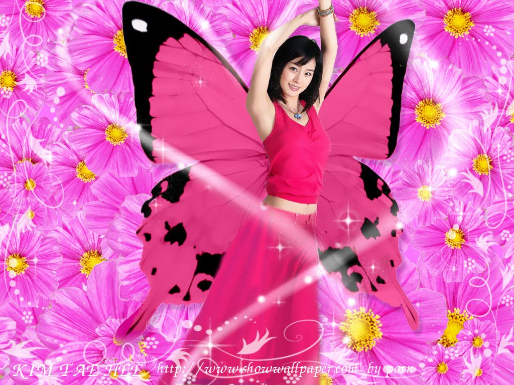 Background And HD Wallpaper Use This Best Gallery Of Butterfly Pink