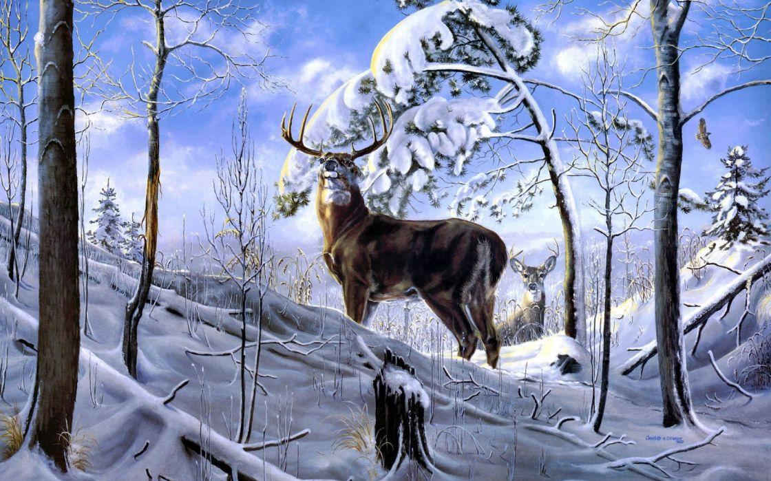 Trees Animals Winter Forest Sky Nature Drawings Snow Widescreen
