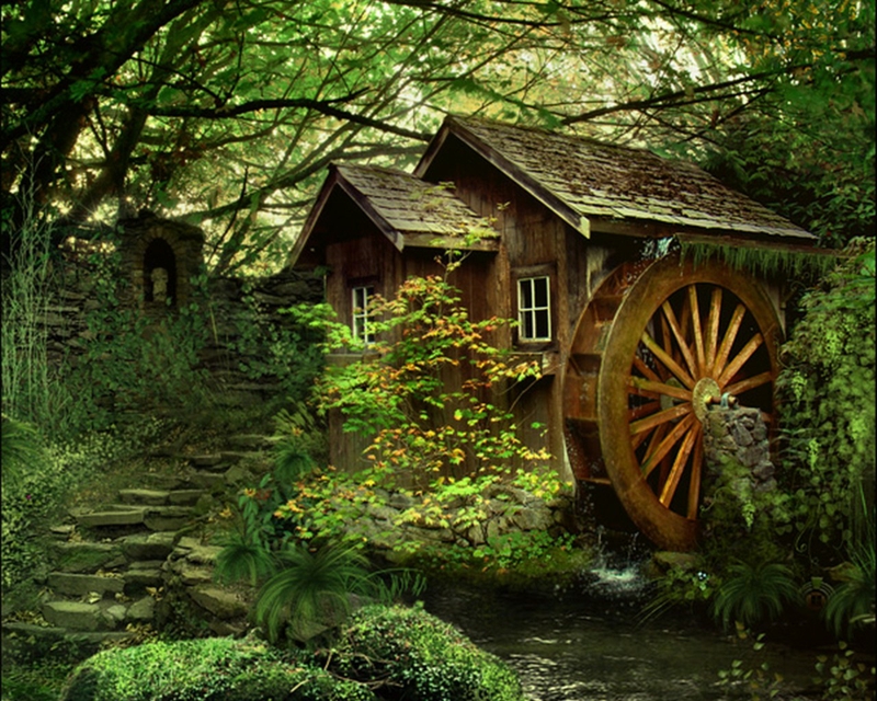 Trees Forests Home Houses Watermills Architecture HD Wallpaper