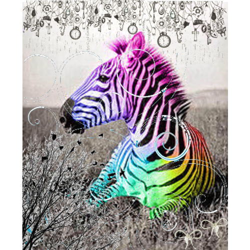 Rainbow Zebra Pictures Cute Cool