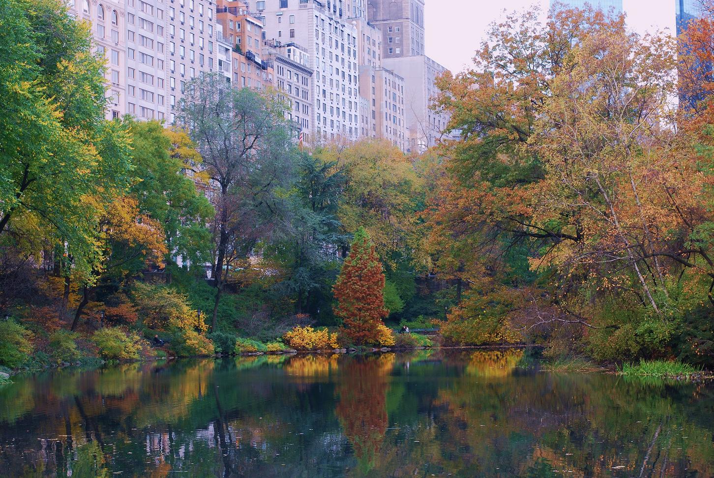 Central Park Fall Desktop Wallpaper