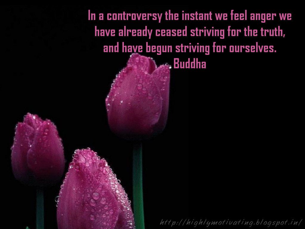 Buddha Quotes Cand 1920 x 1080 14030Kb Buddha quote wallp 1680 x 1050