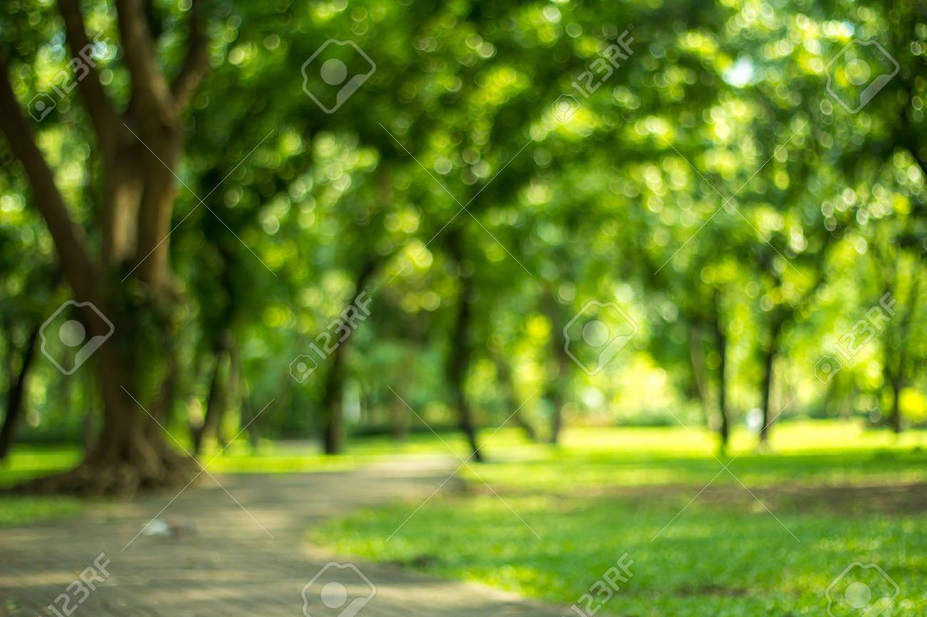 Blurred Of Green Natural Tree In Park Background Stock Photo