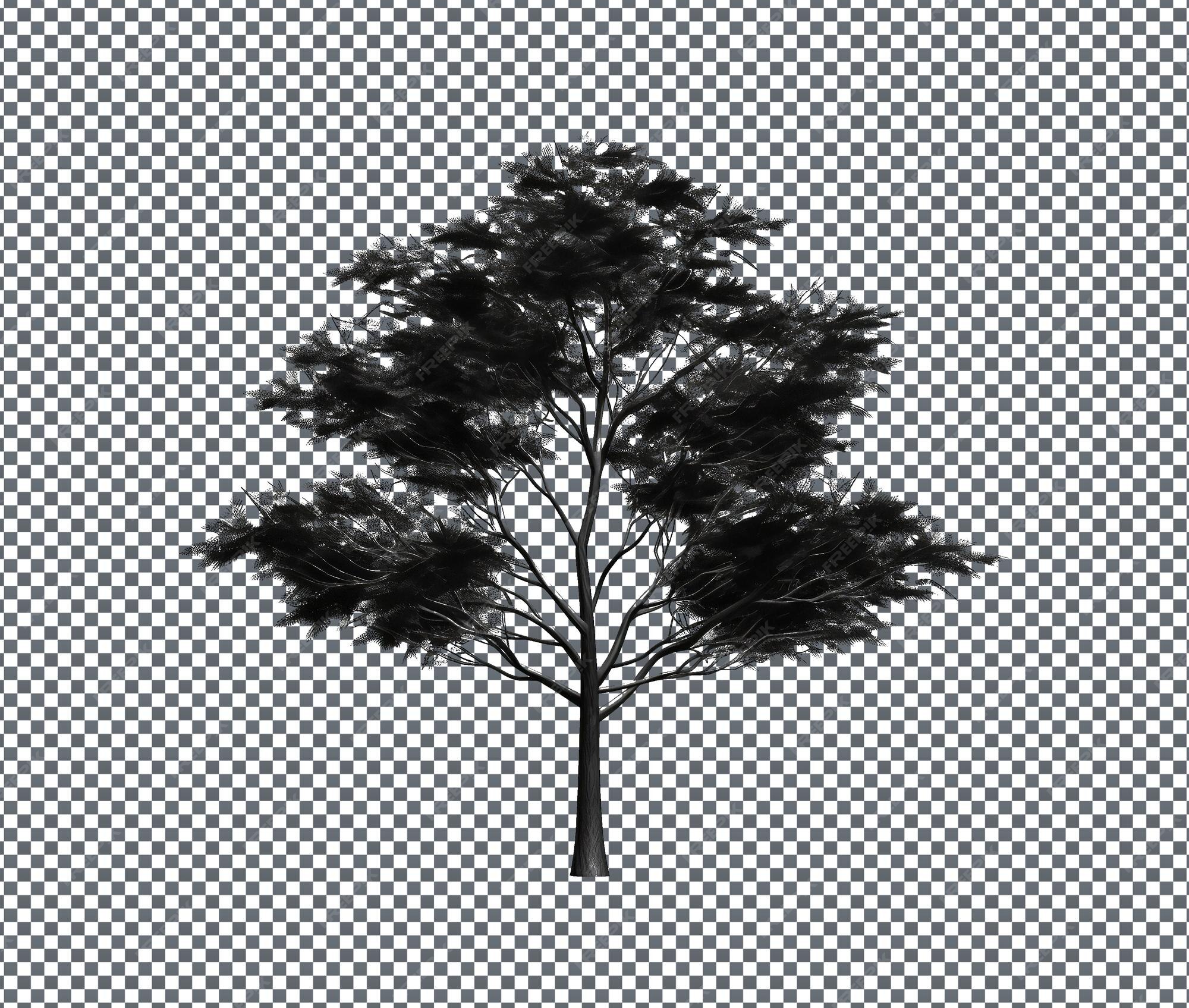 Premium Psd Wallpaper