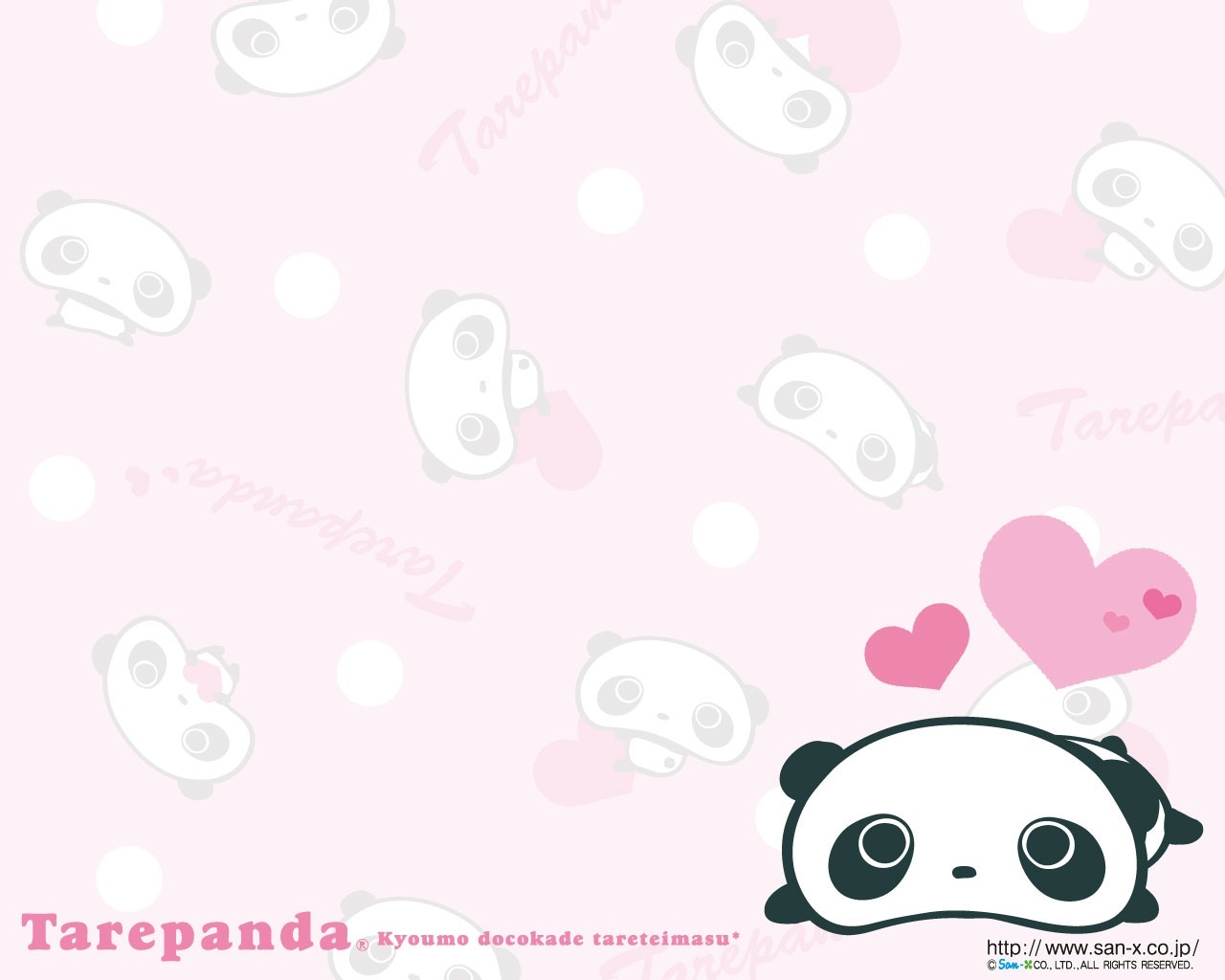 Cute Pink Panda Owl S Tallie