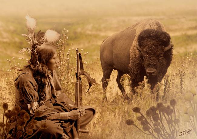 Native American Sioux And Bison By I M Spadecaller Tampa Bay