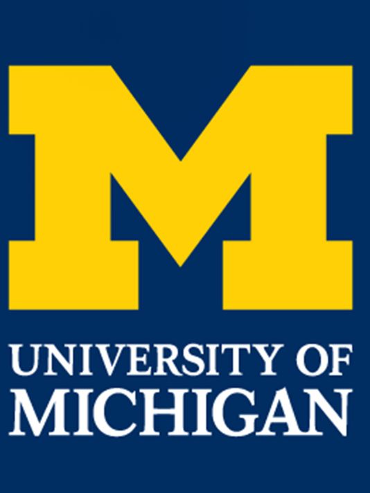 University Of Michigan Block M