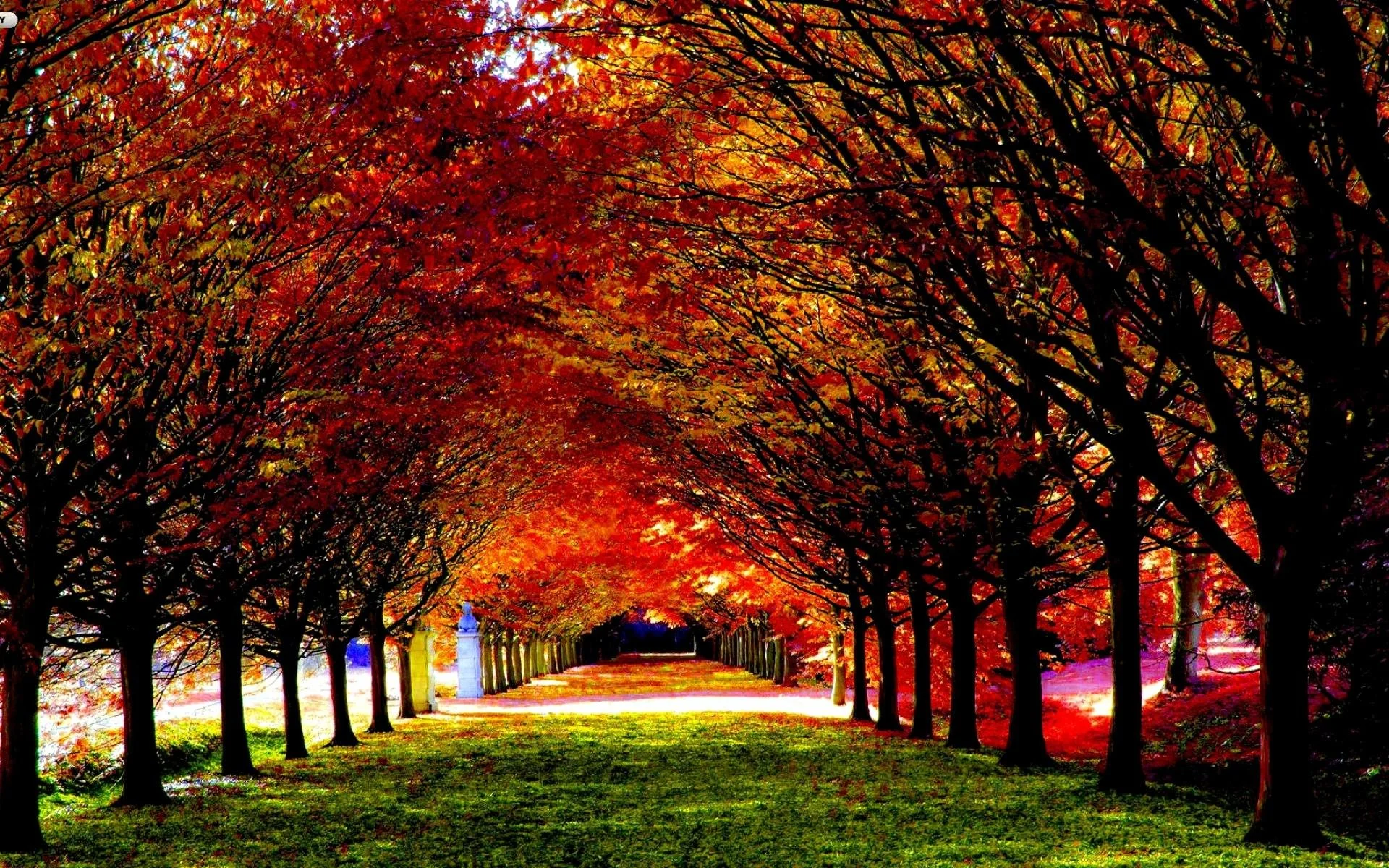HD Fall Wallpaper For Desktop