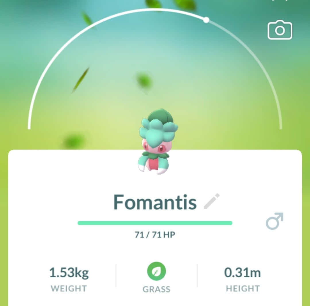 Pokemon Fomantis Game Profile Y40gap2588i53vzf Wallpaper