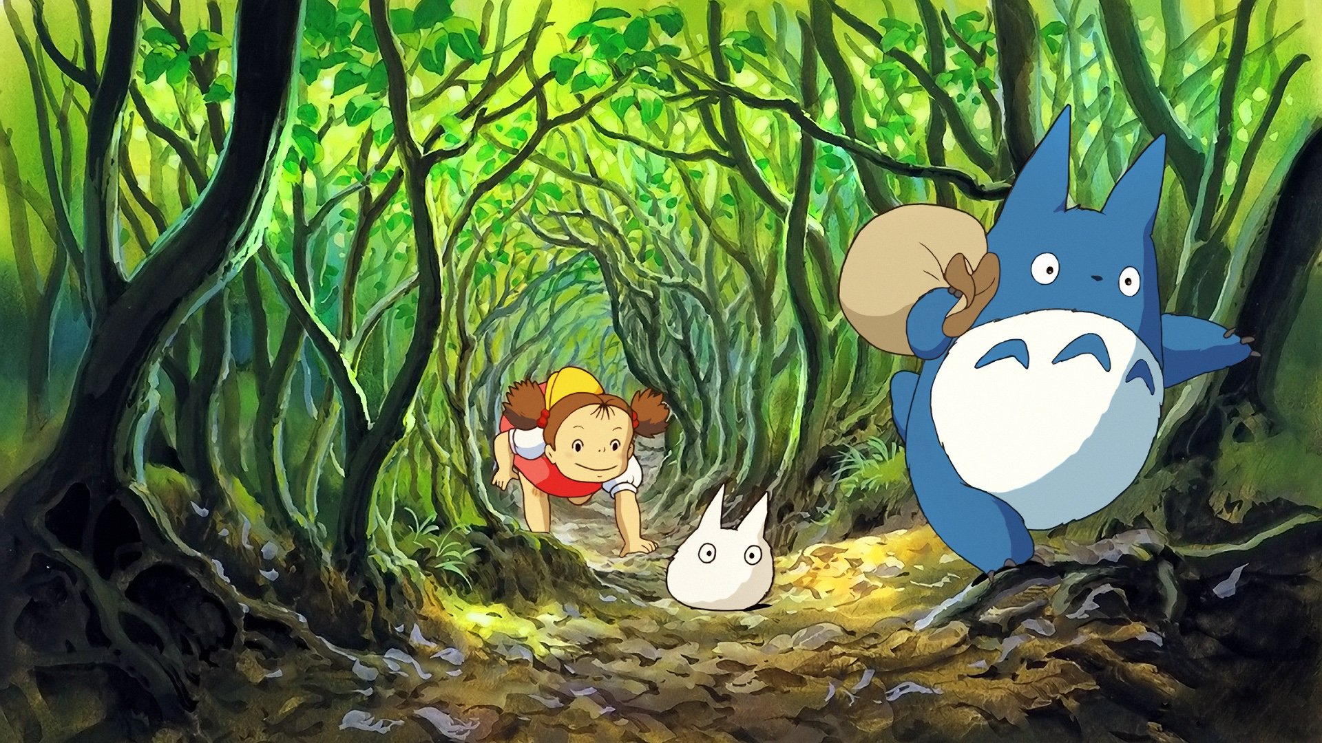 Totoro Studio Ghibli wallpaper 1920x1080 288586 WallpaperUP