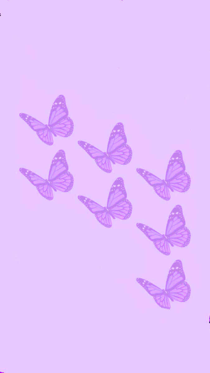 Solid Light Purple Wallpaper