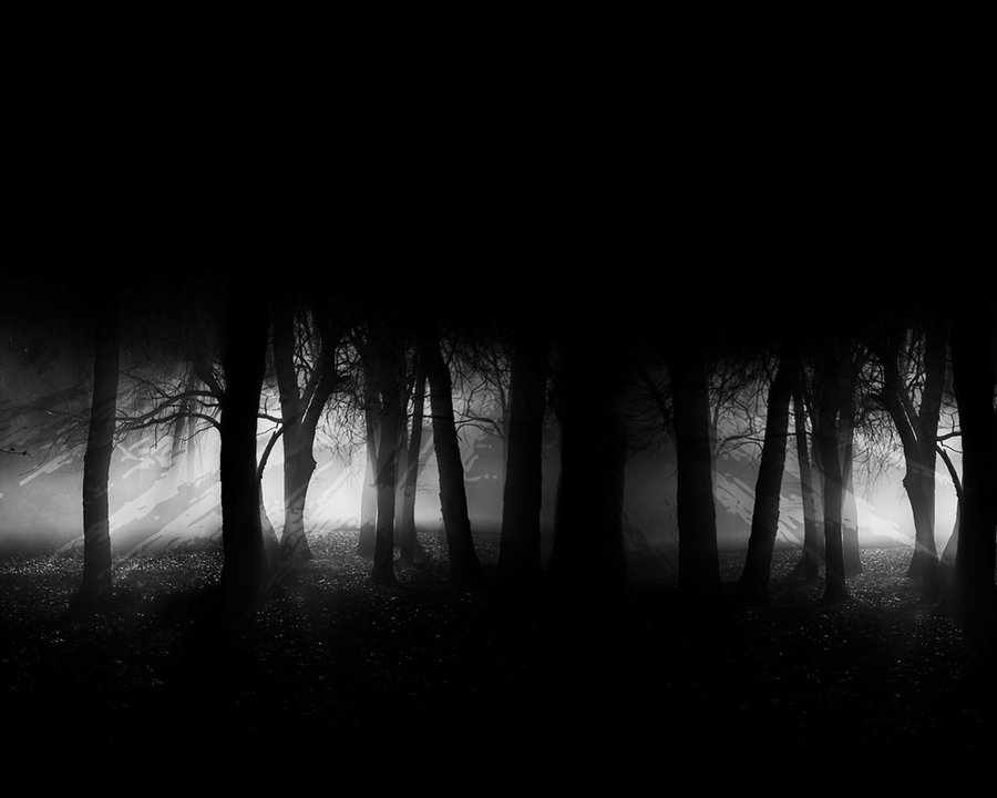 Dark Forest Wallpaper HD By Speetix