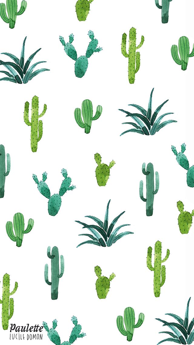 Cactus iPhone Wallpaper