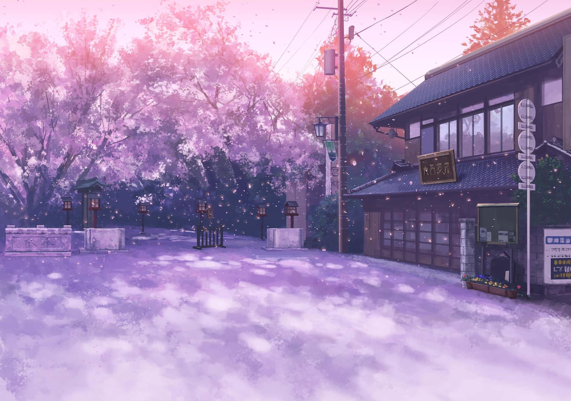Anime Cherry Blossom Background Wallpaper