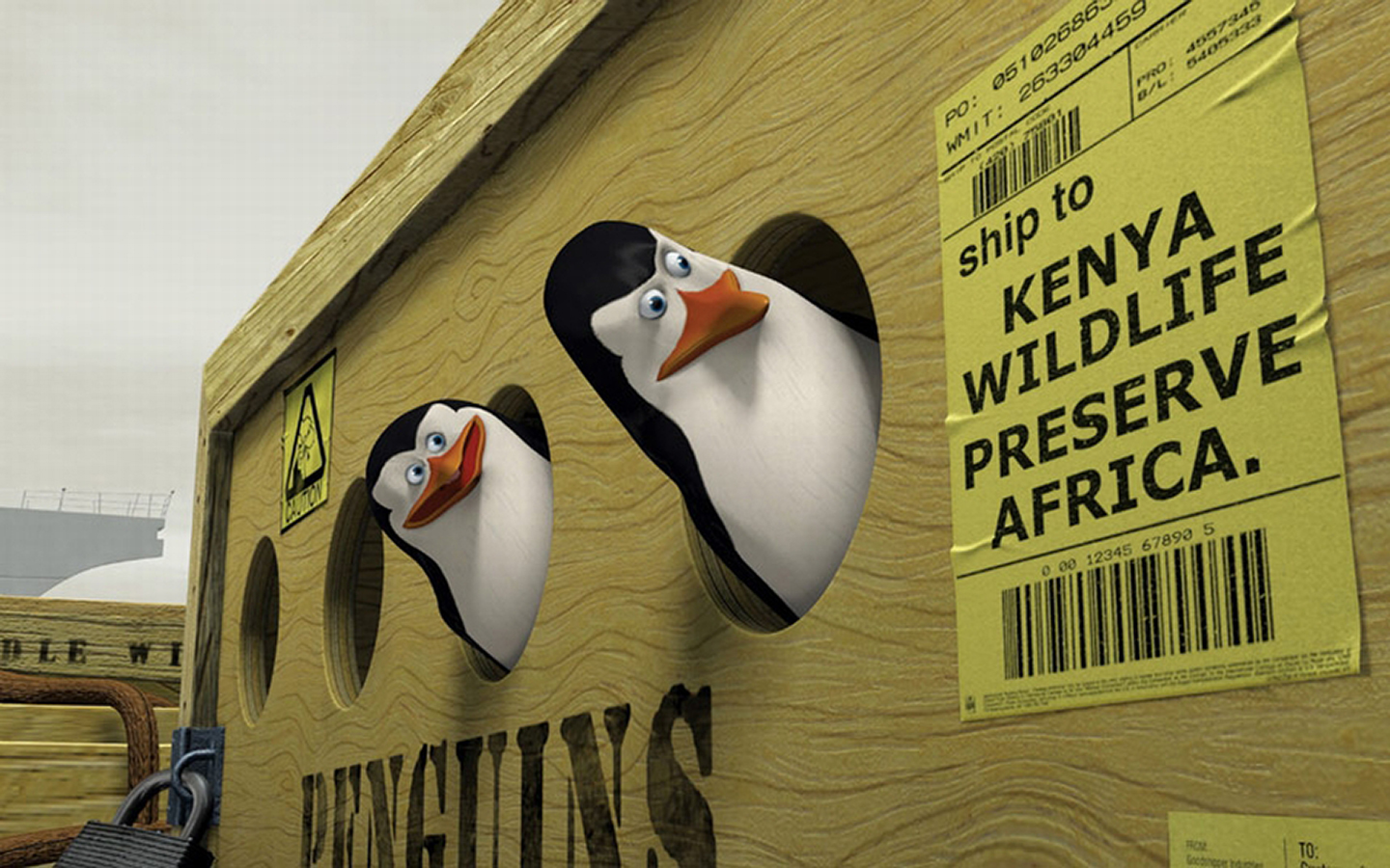 Penguins Of Madagascar In Boxes Wallpaper Toonswallpaper Jpg