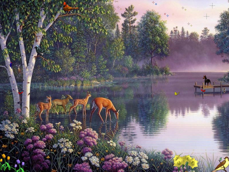 Fairy Lake Screensaver Fill Your World With Wonders Happiness And