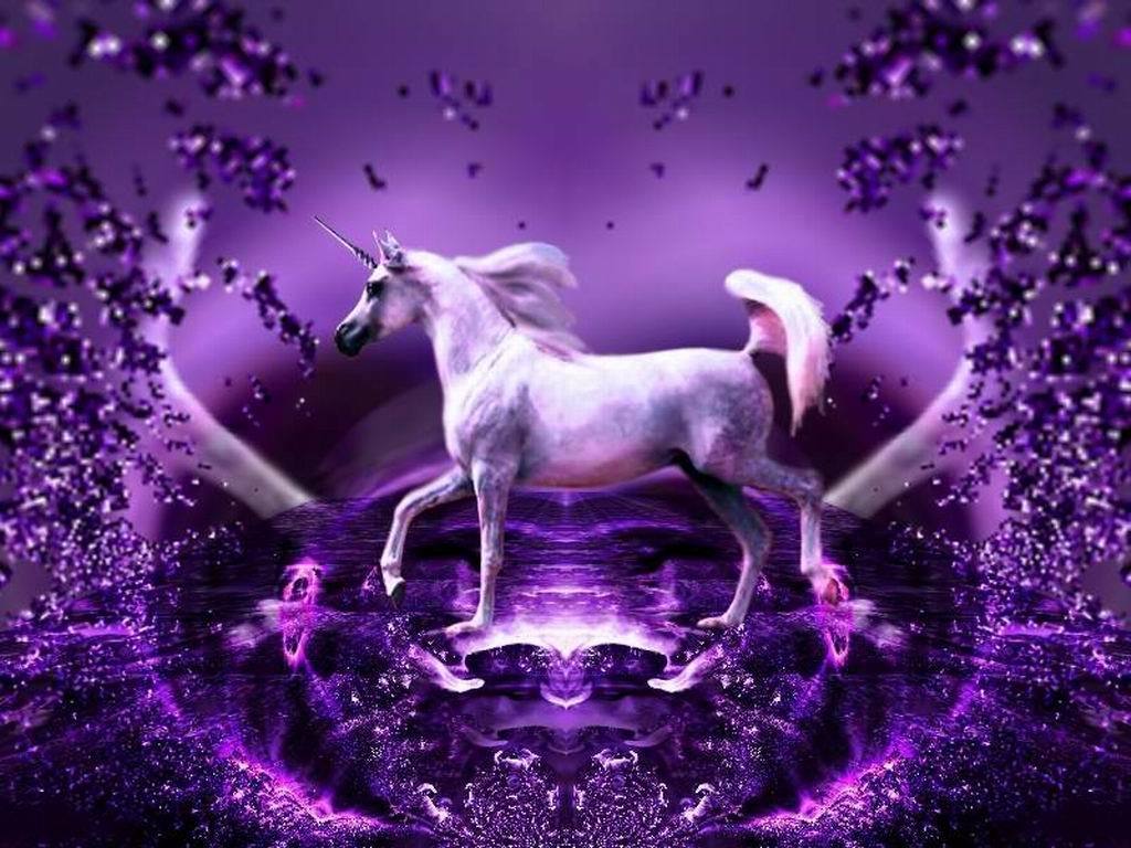 47 Unicorn Screensavers And Wallpaper On Wallpapersafari