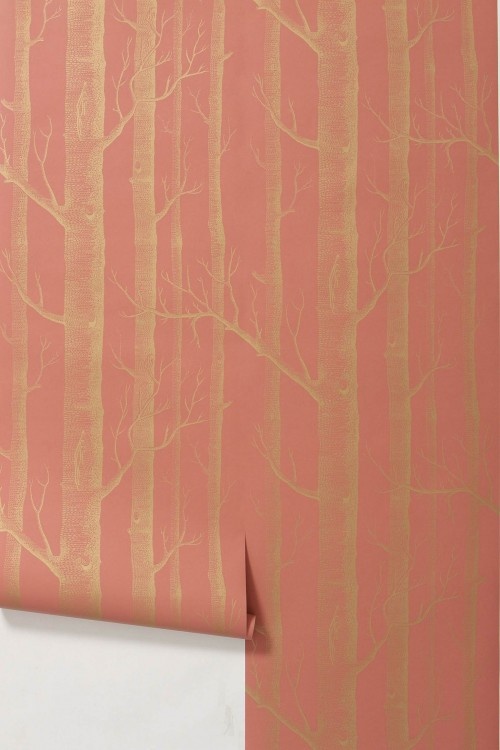 Woods Wallpaper Coral By Cole And Son Gorgeous Pinte