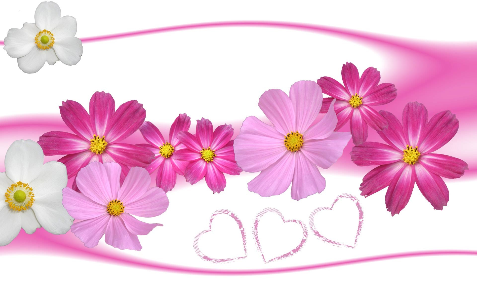 Pink Cosmos Flowers And Hearts Artistic Wallpaper