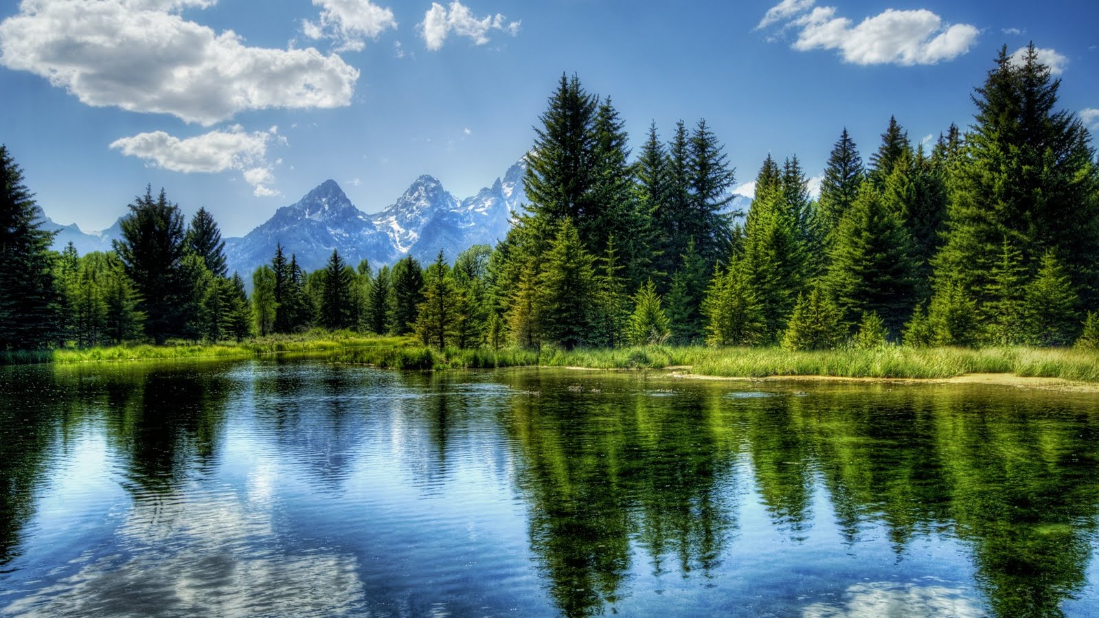 Peaceful Lake Nature Wallpaper For Desktop