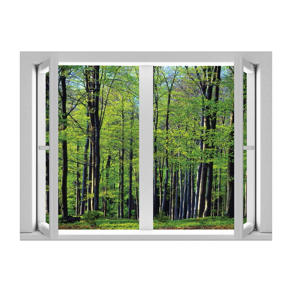 Free download London AMD7013 Forest Removable Large Wallpaper Mural