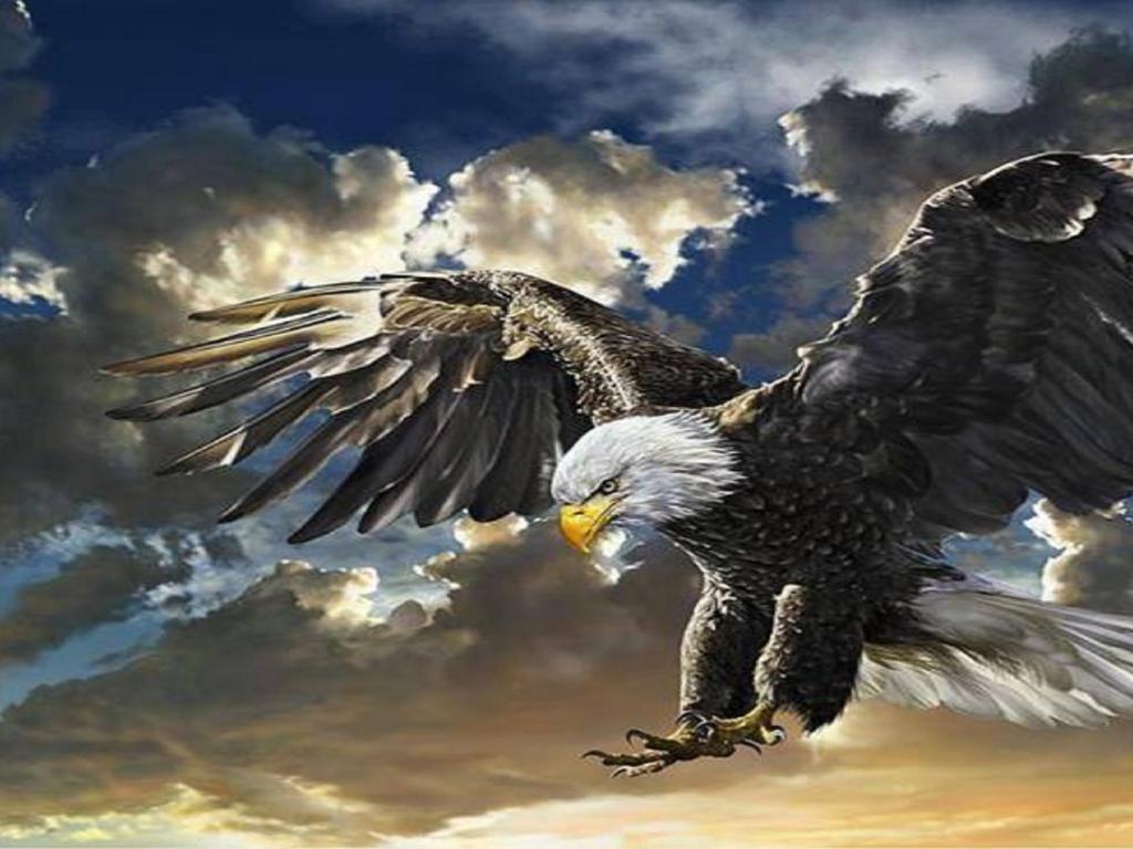 Eagle Painting High Quality And Resolution Wallpaper On