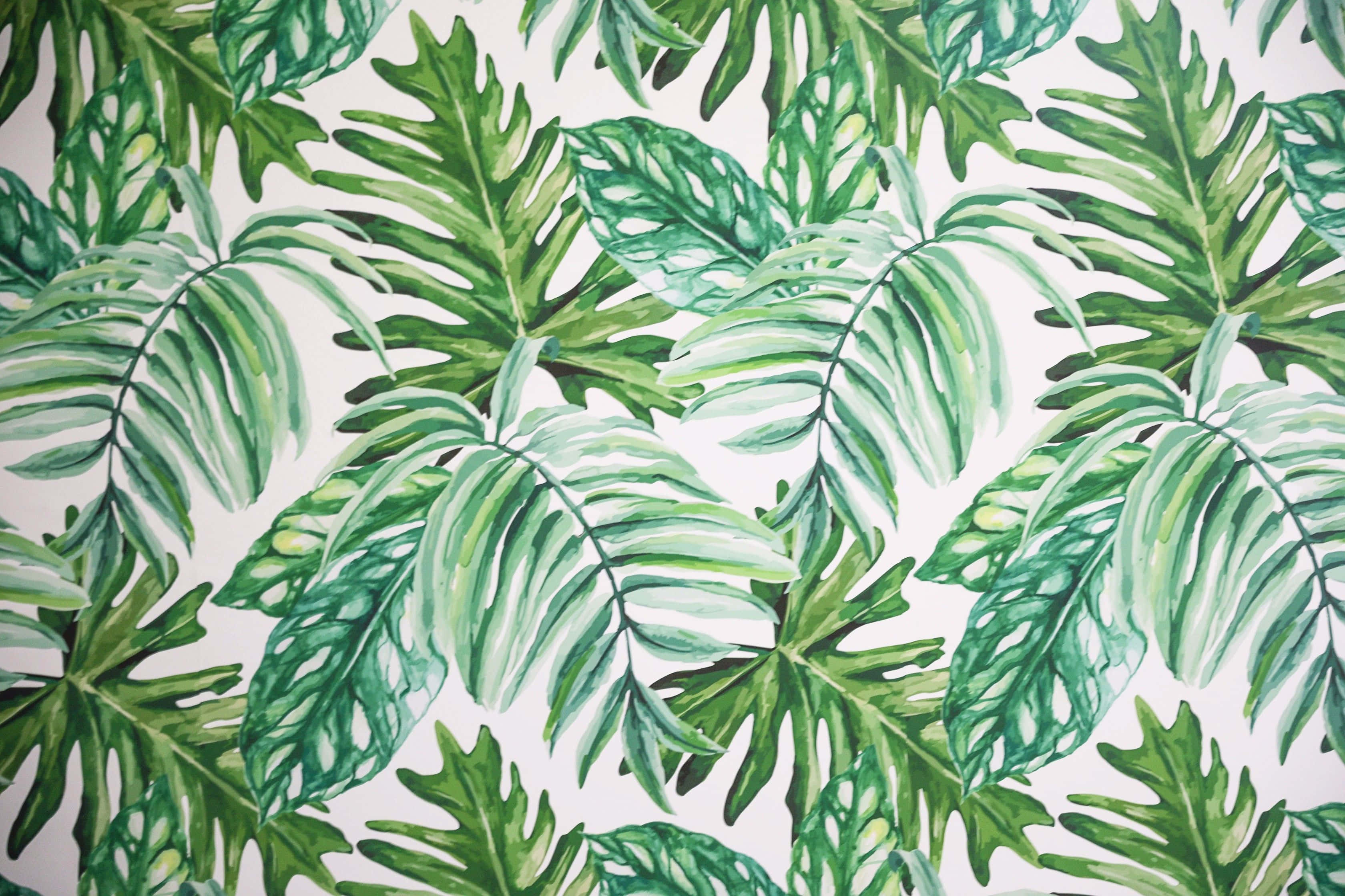 A Desktop Of Tropical Leaves Wallpaper