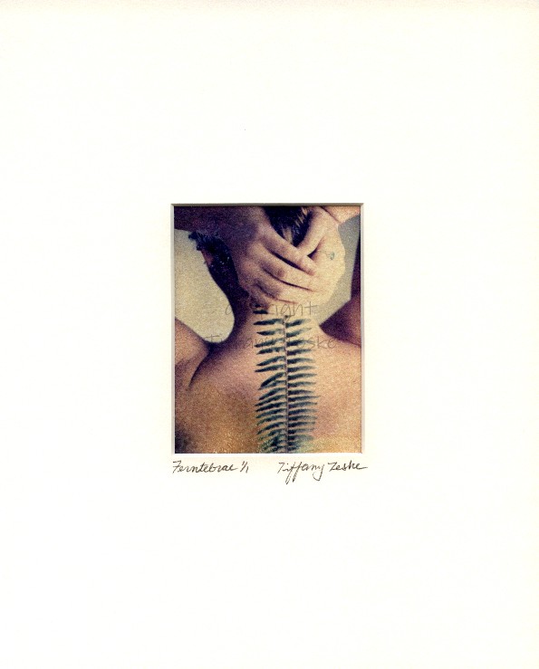 Free download why i wrote the yellow wallpaper from the october when